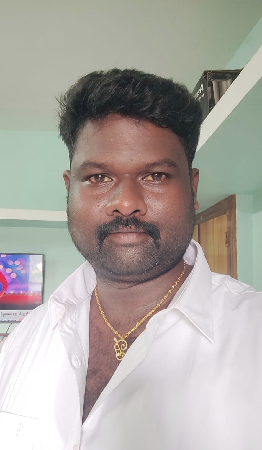 Sankaranarayanan A